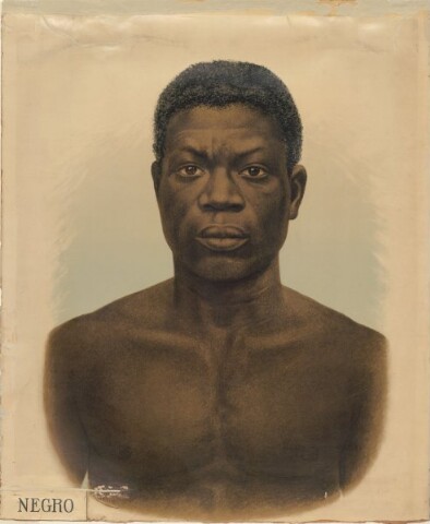 Anteprima dell'oggetto