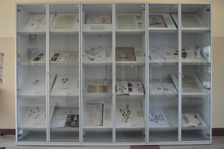 Anteprima dell'oggetto