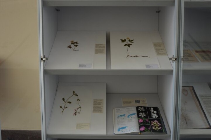 Anteprima dell'oggetto