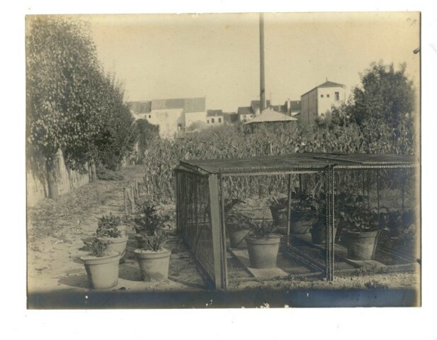 Anteprima dell'oggetto