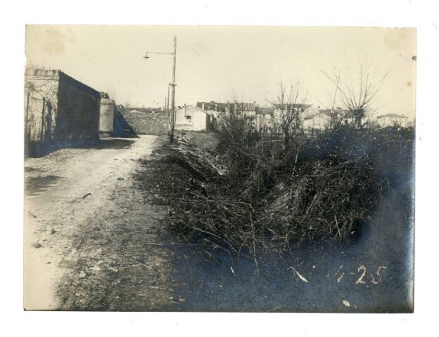 Anteprima dell'oggetto