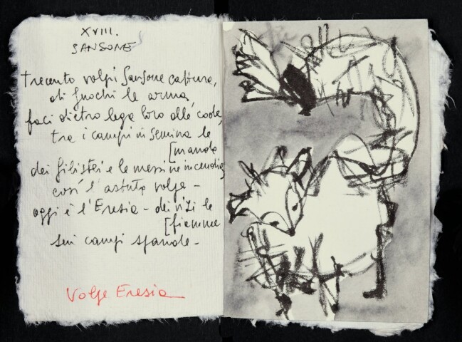 Anteprima dell'oggetto