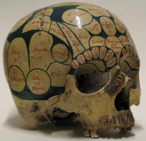 Anteprima dell'oggetto