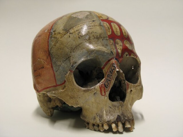 Anteprima dell'oggetto