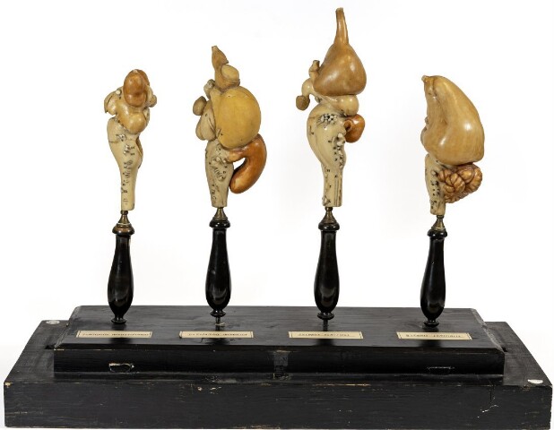 Anteprima dell'oggetto