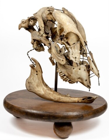 Anteprima dell'oggetto