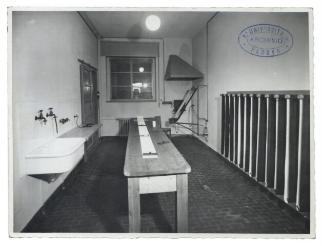 Anteprima dell'oggetto