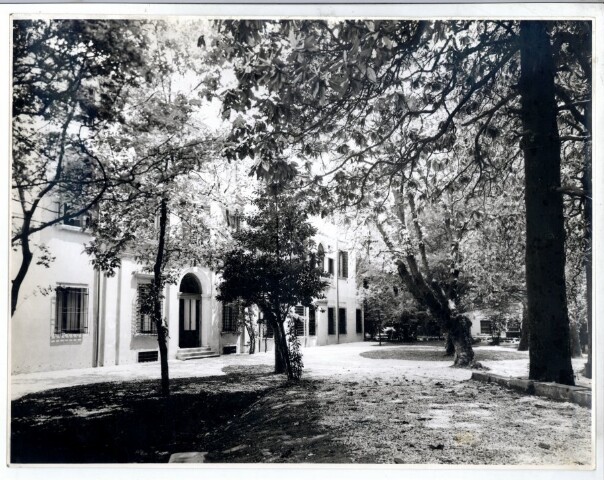 Anteprima dell'oggetto