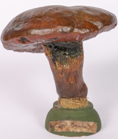 Anteprima dell'oggetto