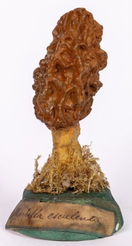 Anteprima dell'oggetto