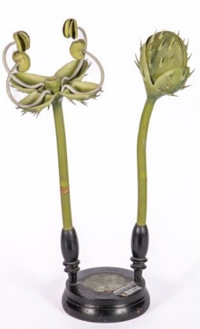 Anteprima dell'oggetto