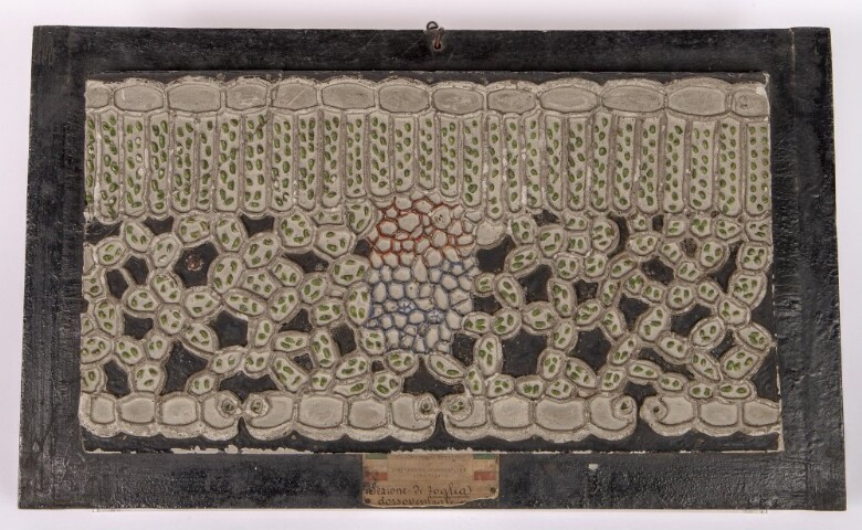 Anteprima dell'oggetto