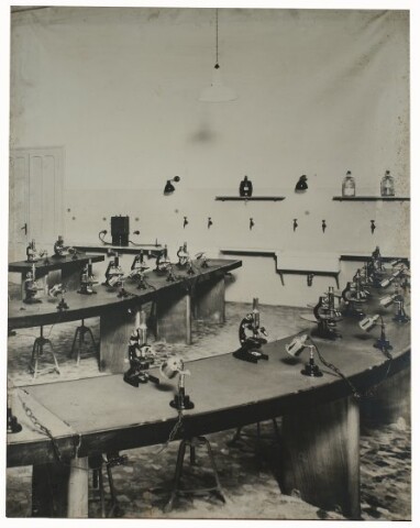 Anteprima dell'oggetto