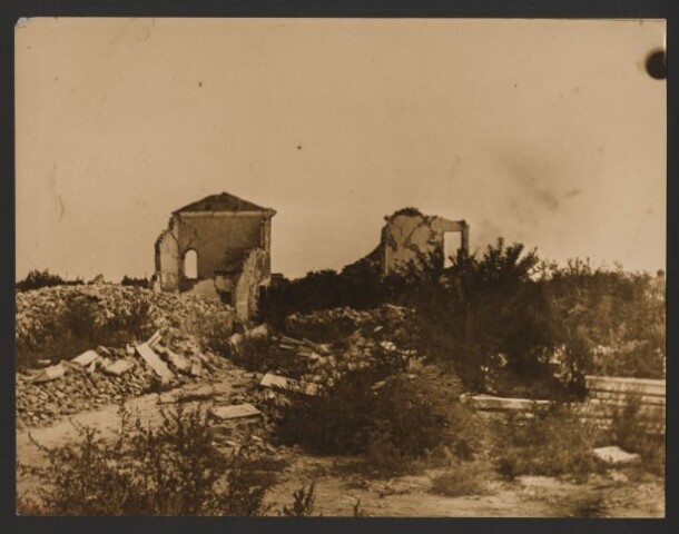Anteprima dell'oggetto