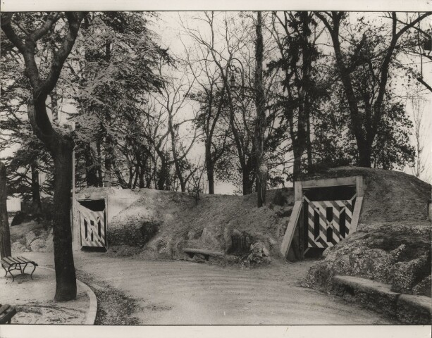 Anteprima dell'oggetto