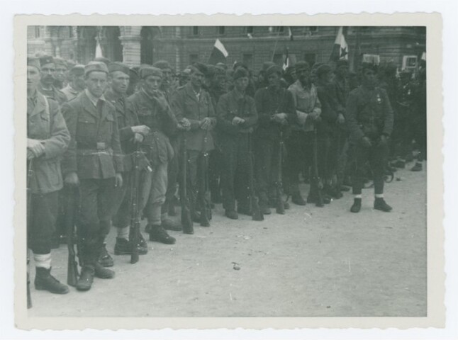 Anteprima dell'oggetto