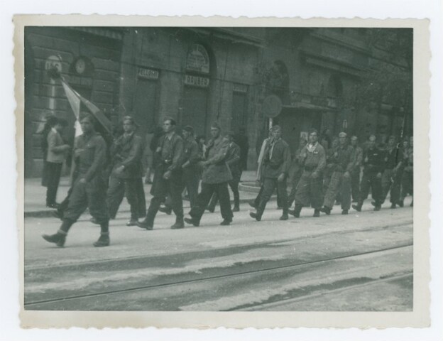 Anteprima dell'oggetto