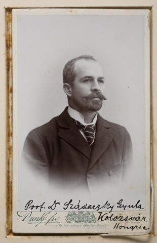 Anteprima dell'oggetto