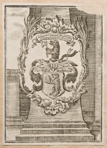 Anteprima dell'oggetto