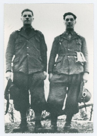 Anteprima dell'oggetto