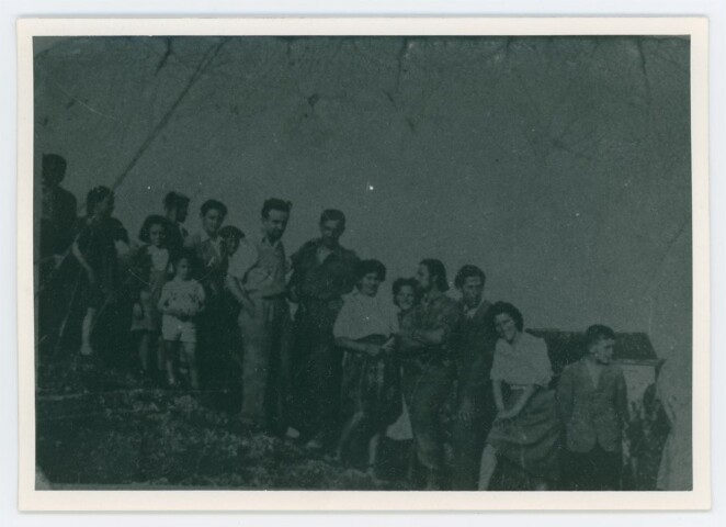 Anteprima dell'oggetto