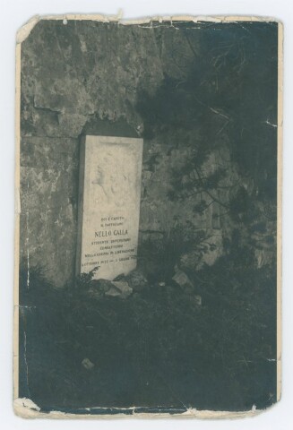 Anteprima dell'oggetto