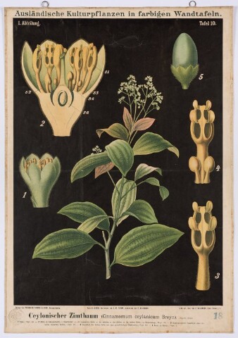 Anteprima dell'oggetto