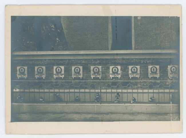 Anteprima dell'oggetto