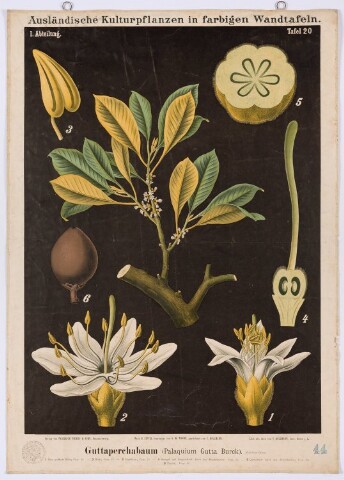 Anteprima dell'oggetto