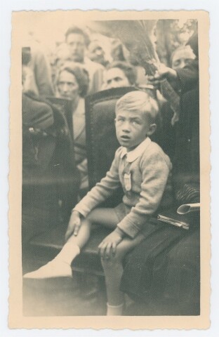 Anteprima dell'oggetto