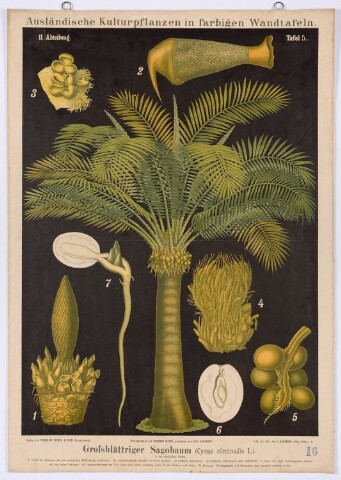 Anteprima dell'oggetto