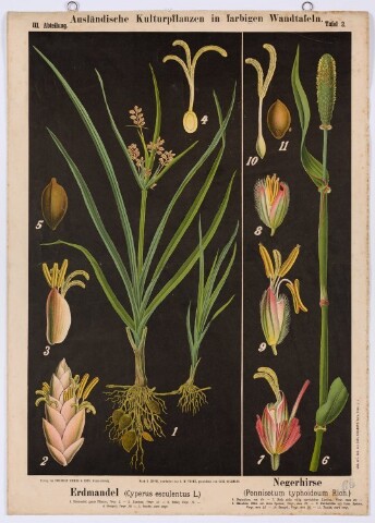 Anteprima dell'oggetto