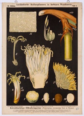 Anteprima dell'oggetto