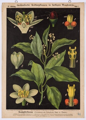 Anteprima dell'oggetto