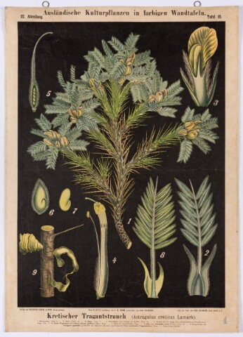 Anteprima dell'oggetto