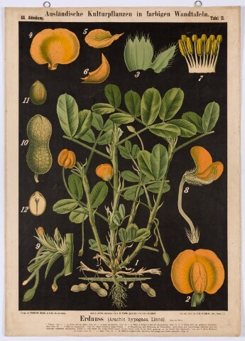 Anteprima dell'oggetto