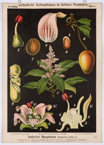 Anteprima dell'oggetto