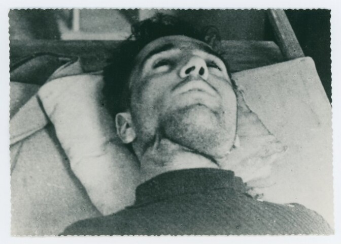 Anteprima dell'oggetto