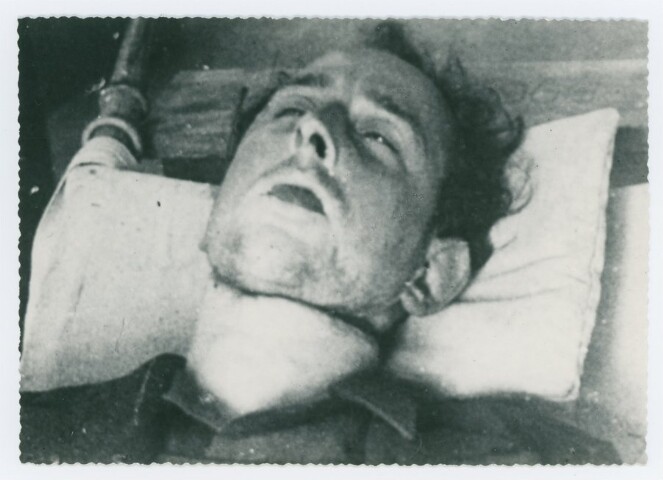 Anteprima dell'oggetto