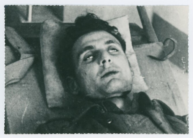 Anteprima dell'oggetto