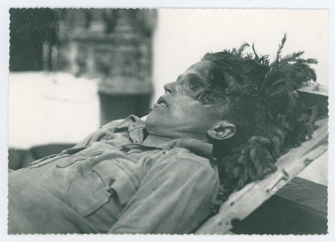 Anteprima dell'oggetto