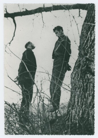 Anteprima dell'oggetto