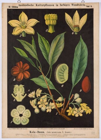 Anteprima dell'oggetto