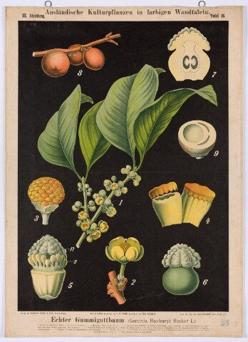 Anteprima dell'oggetto