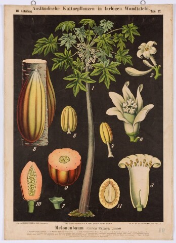 Anteprima dell'oggetto