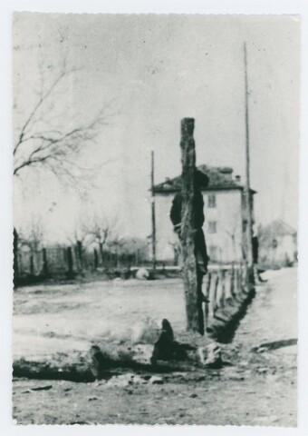 Anteprima dell'oggetto