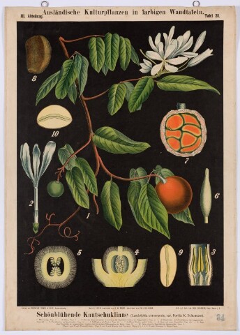 Anteprima dell'oggetto