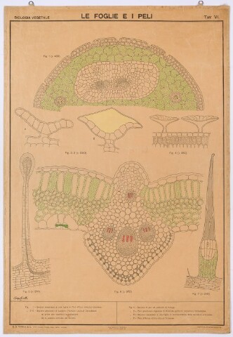 Anteprima dell'oggetto