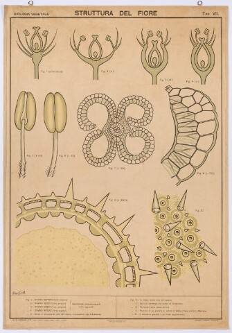 Anteprima dell'oggetto