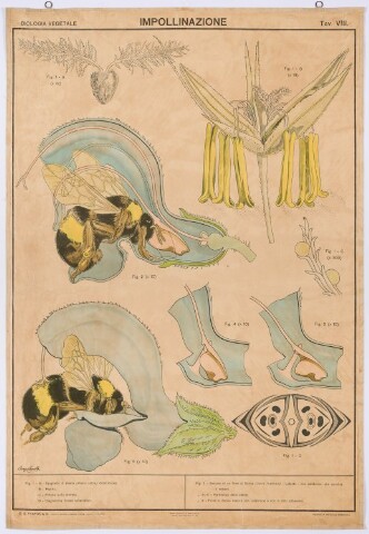 Anteprima dell'oggetto